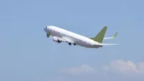 Avin en vuelo.