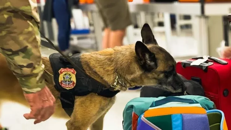 Perro polic�a inspeccionando equipajes.