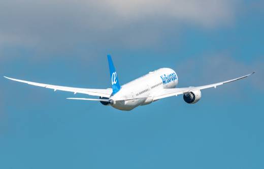 Avi�n de Air Europa en vuelo. Foto: Air Europa